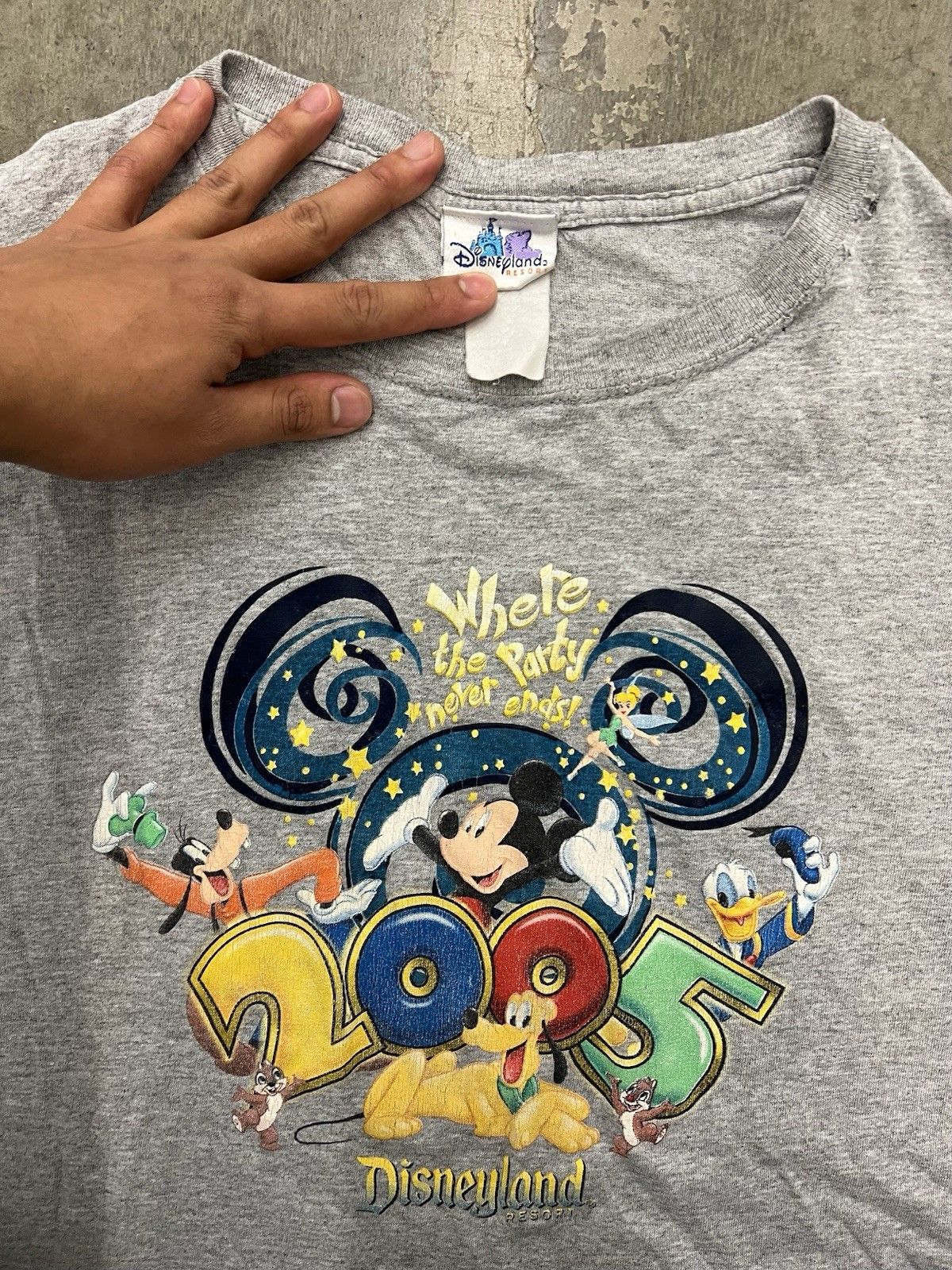Disney Disneyland 2005 grey tee Size large Size US L / EU 52-54 / 3 - 2 Thumbnail