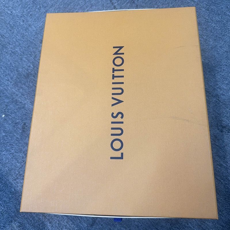 Louis Vuitton Louis Vuitton Skate Fashion Sneakers for Men -2508 Size US 7.5 / EU 40-41 - 6 Thumbnail