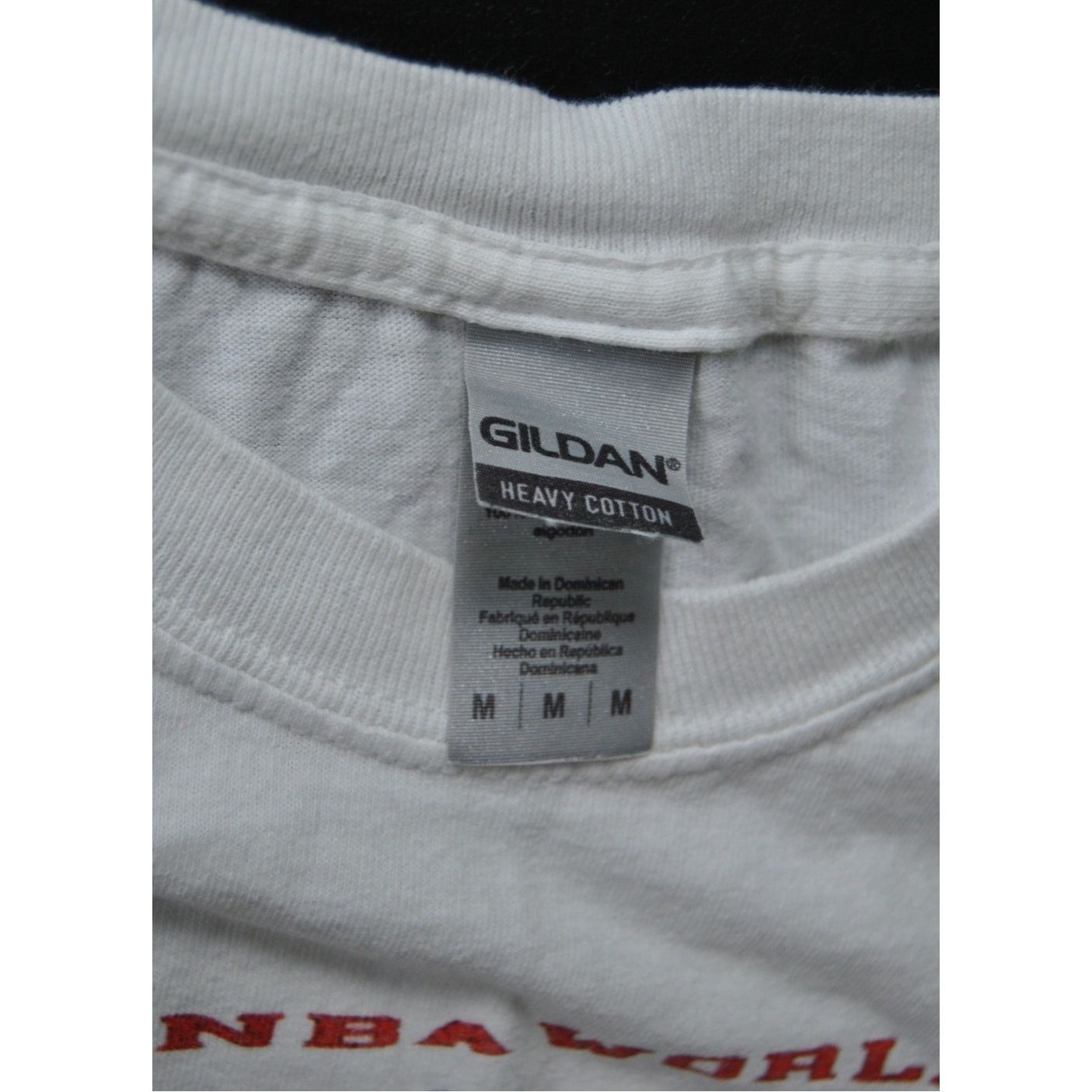 Gildan Chicago Bulls 1991 NBA World Champions Medium Shirt Size US M / EU 48-50 / 2 - 4 Thumbnail