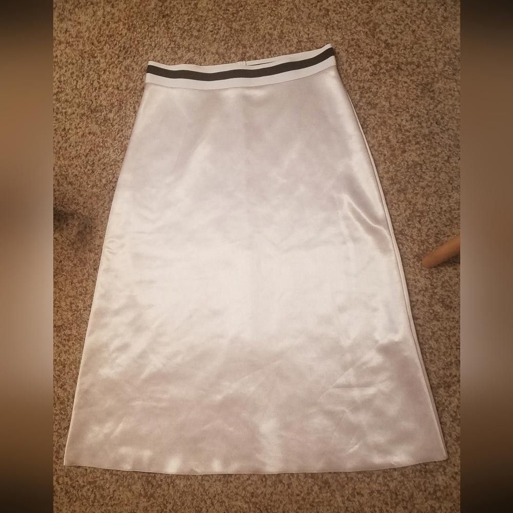Zara Zara Trafaluc Elegant Pink Skirt Size Medium Size 32" / US 10 / IT 46 - 1 Thumbnail