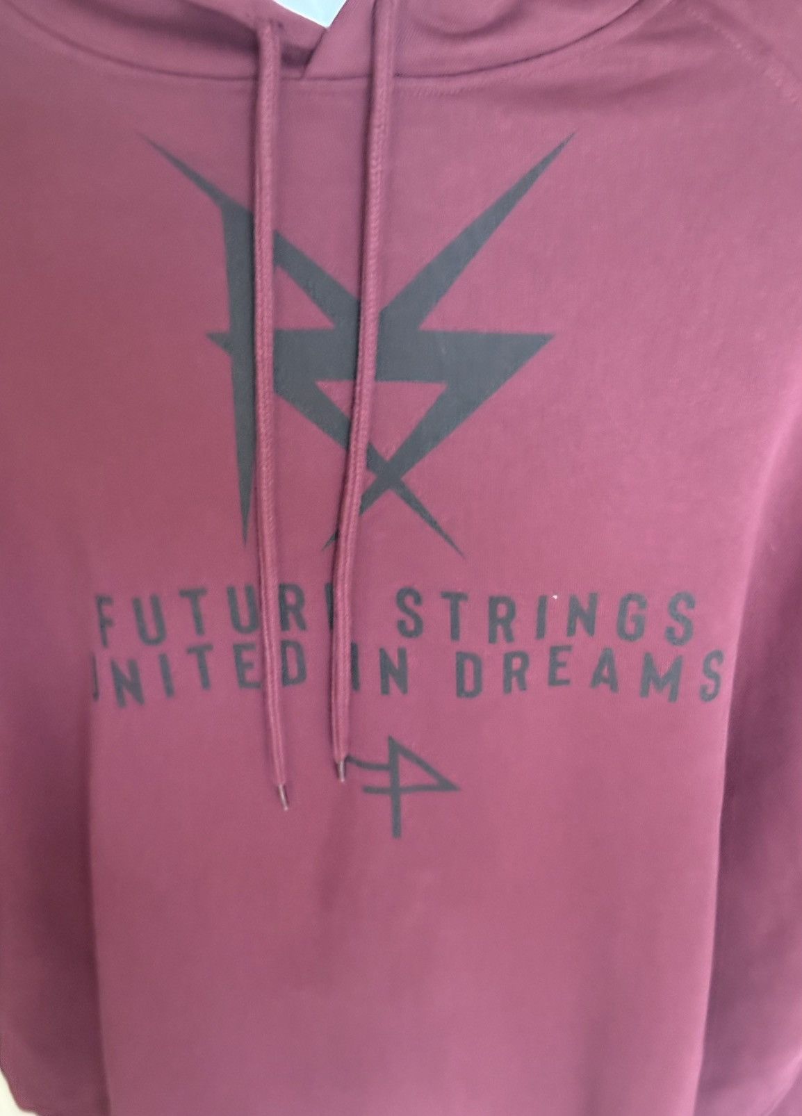 Fred Perry × Raf Simons Raf Simons x Fred Perry Burgundy Hoodie L BNWT Size US L / EU 52-54 / 3 - 6 Thumbnail
