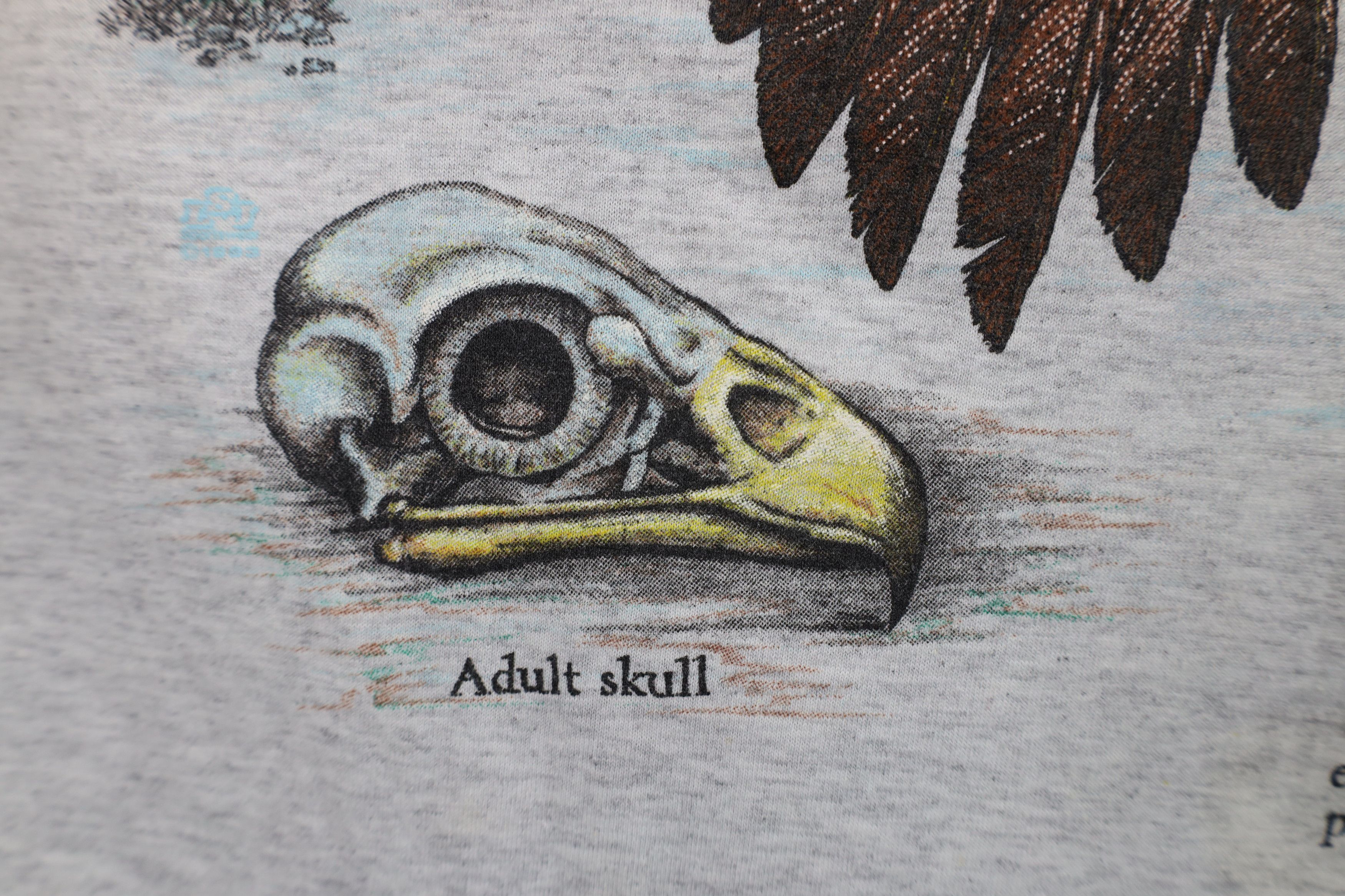 Vintage Vintage 90s Streetwear North American Bald Eagle T-Shirt USA Size US L / EU 52-54 / 3 - 7 Thumbnail