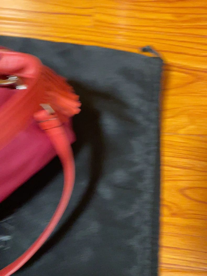Loewe loewe Pink lucky bag bag 2503-Nextarrow Size ONE SIZE - 5 Thumbnail