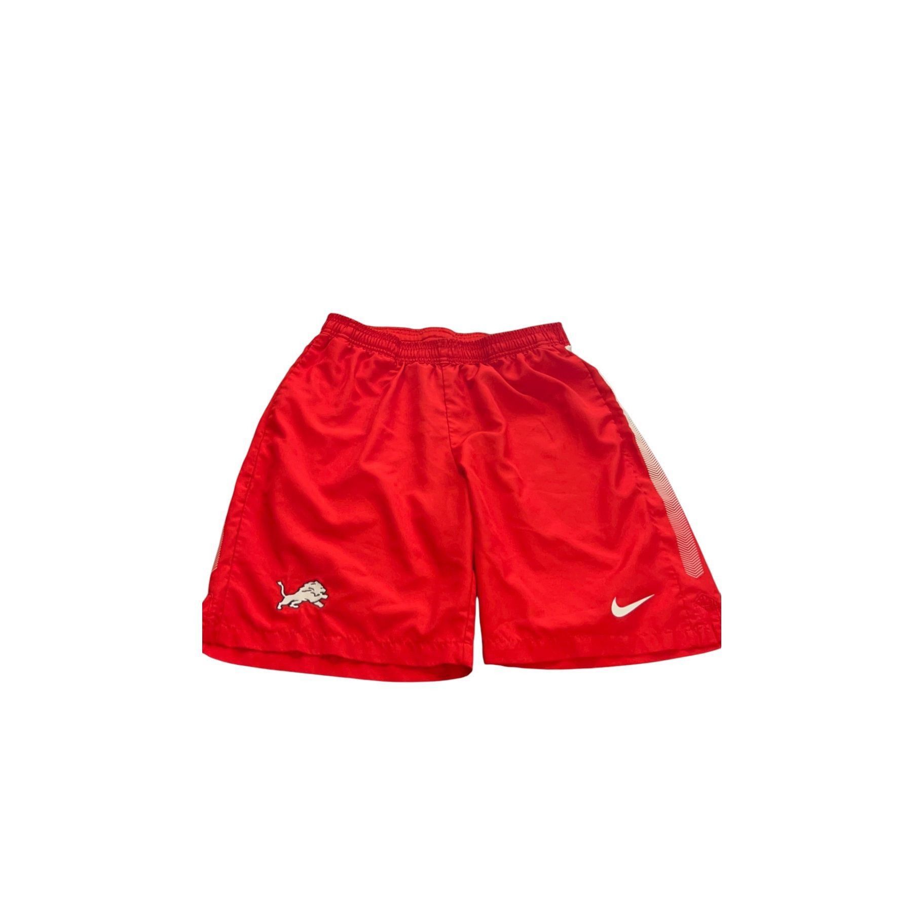 Nike Nike Dri-fit Shorts size L Size US 30 / EU 46 - 1 Thumbnail