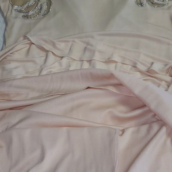 Badgley Mischka Badgley Mischka Collection Embellished Sheer Blush Maxi Even Size S / US 4 / IT 40 - 15 Thumbnail