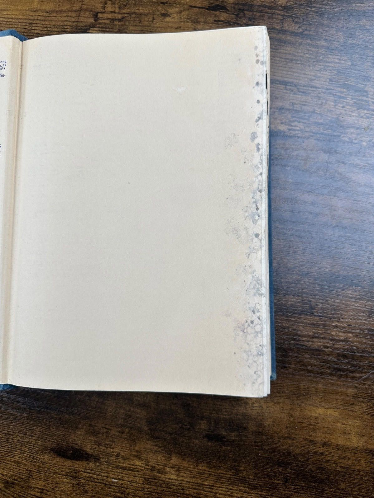 Other Webster's Seventh New Collegiate Dictionary Size ONE SIZE - 7 Thumbnail