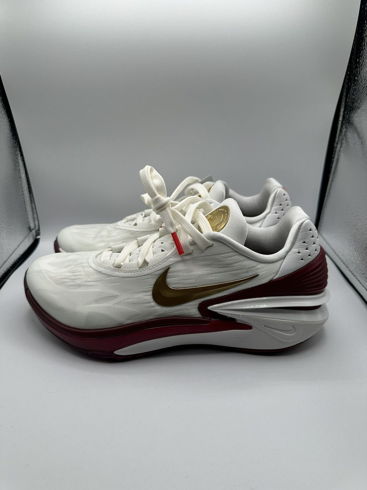 nike air zoom sisterhood