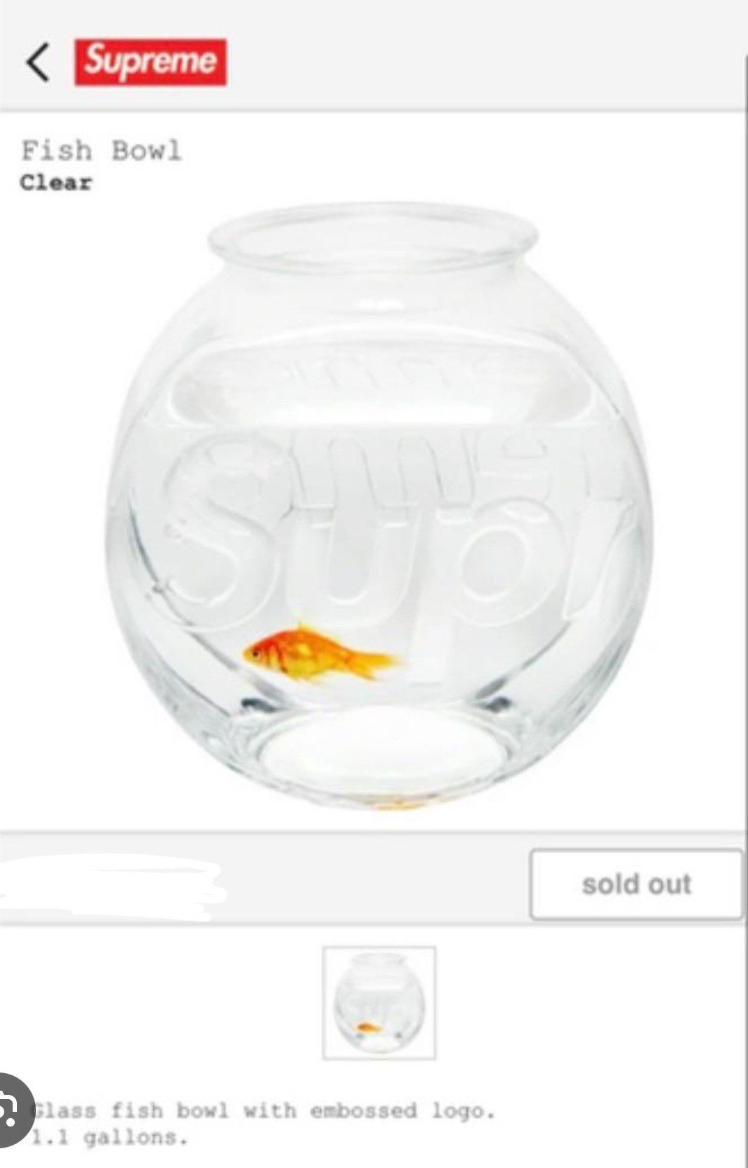 Supreme Supreme fish bowl Size ONE SIZE - 4 Thumbnail