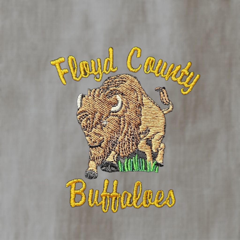 Vintage VINTAGE Floyd Country Buffaloes Hoodie Pullover Adult XL Black Sweatshirt Size US XL / EU 56 / 4 - 1 Thumbnail