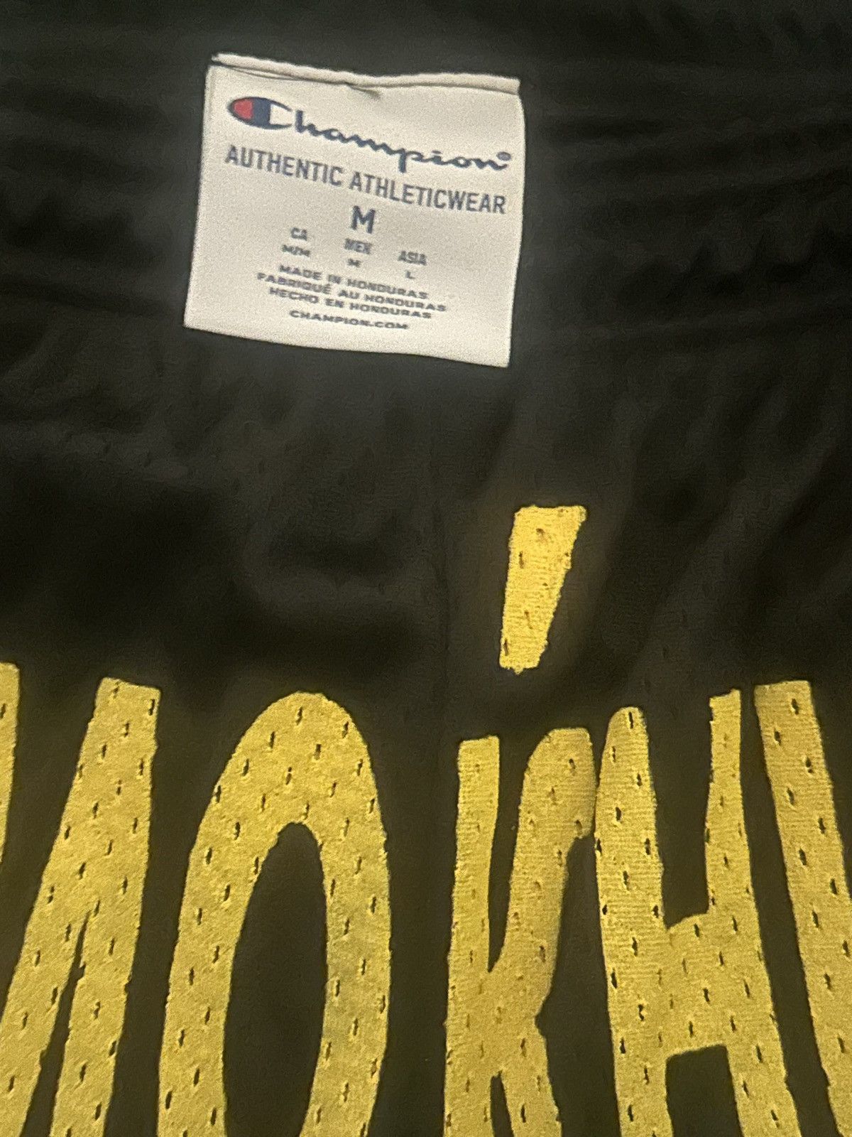 Champion × Rap Tees 4th Rope x Harlem Heat shorts Size US 32 / EU 48 - 2 Thumbnail