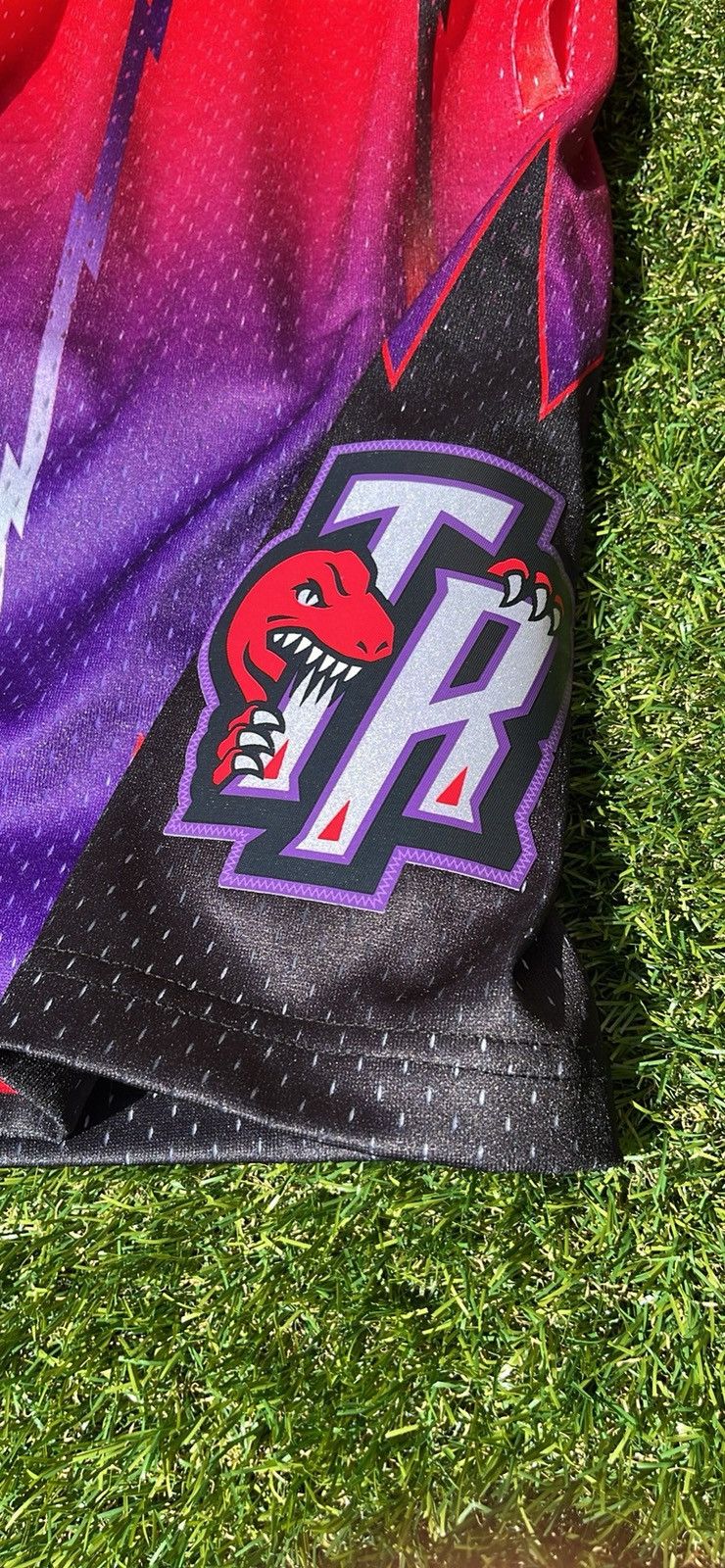 Mitchell & Ness Toronto Raptors Swingman Shorts Size US 32 / EU 48 - 3 Thumbnail