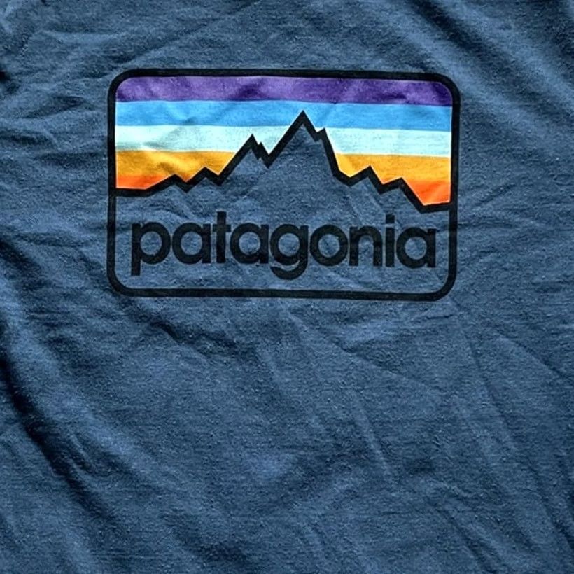 Patagonia Patagonia Line Logo Badge Responibili-Tee Short Sleeve Shirt Size M Blue Mens Size US M / EU 48-50 / 2 - 5 Thumbnail