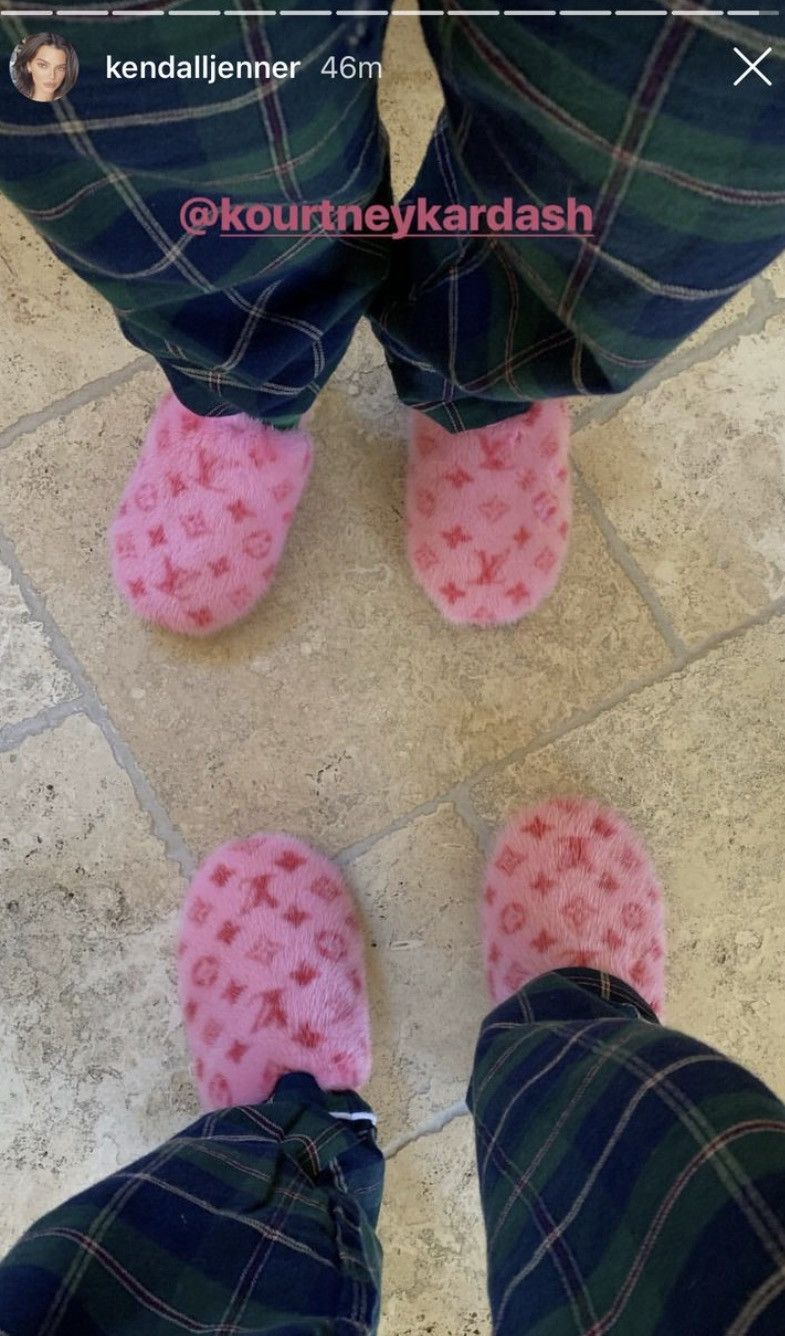 Louis Vuitton Louis Vuitton JAPAN EXCLUSIVE MINK FUR Clog Slippers Size US 9.5 / EU 42-43 - 8 Thumbnail