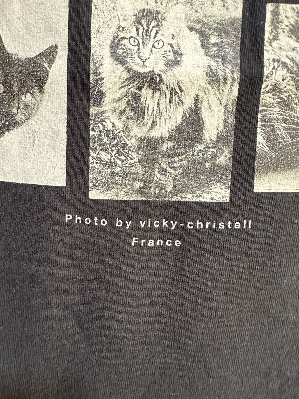 Habitat × Vintage Vintage Catflim By Vicky-Christell Distress Tee Size US M / EU 48-50 / 2 - 2 Thumbnail