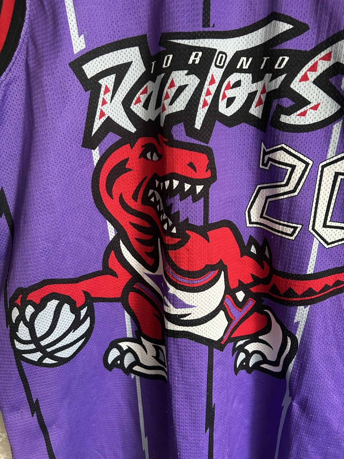 Champion Damon Stoudamire #20 Toronto Raptors NBA Champion Jersey Size US XL / EU 56 / 4 - 6 Thumbnail