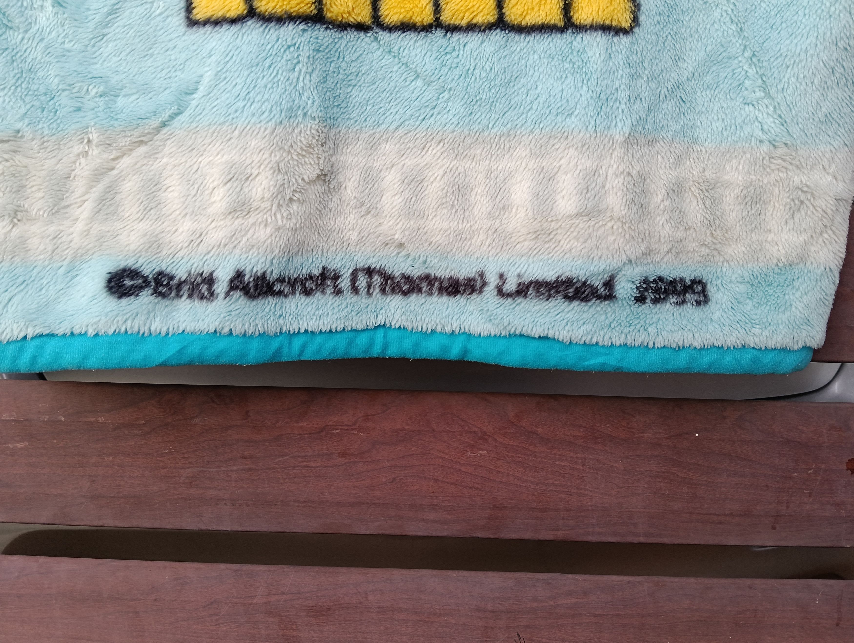 Cartoon Network Tommy Thomas fleece vest.copyright 1999. Size US L / EU 52-54 / 3 - 3 Thumbnail
