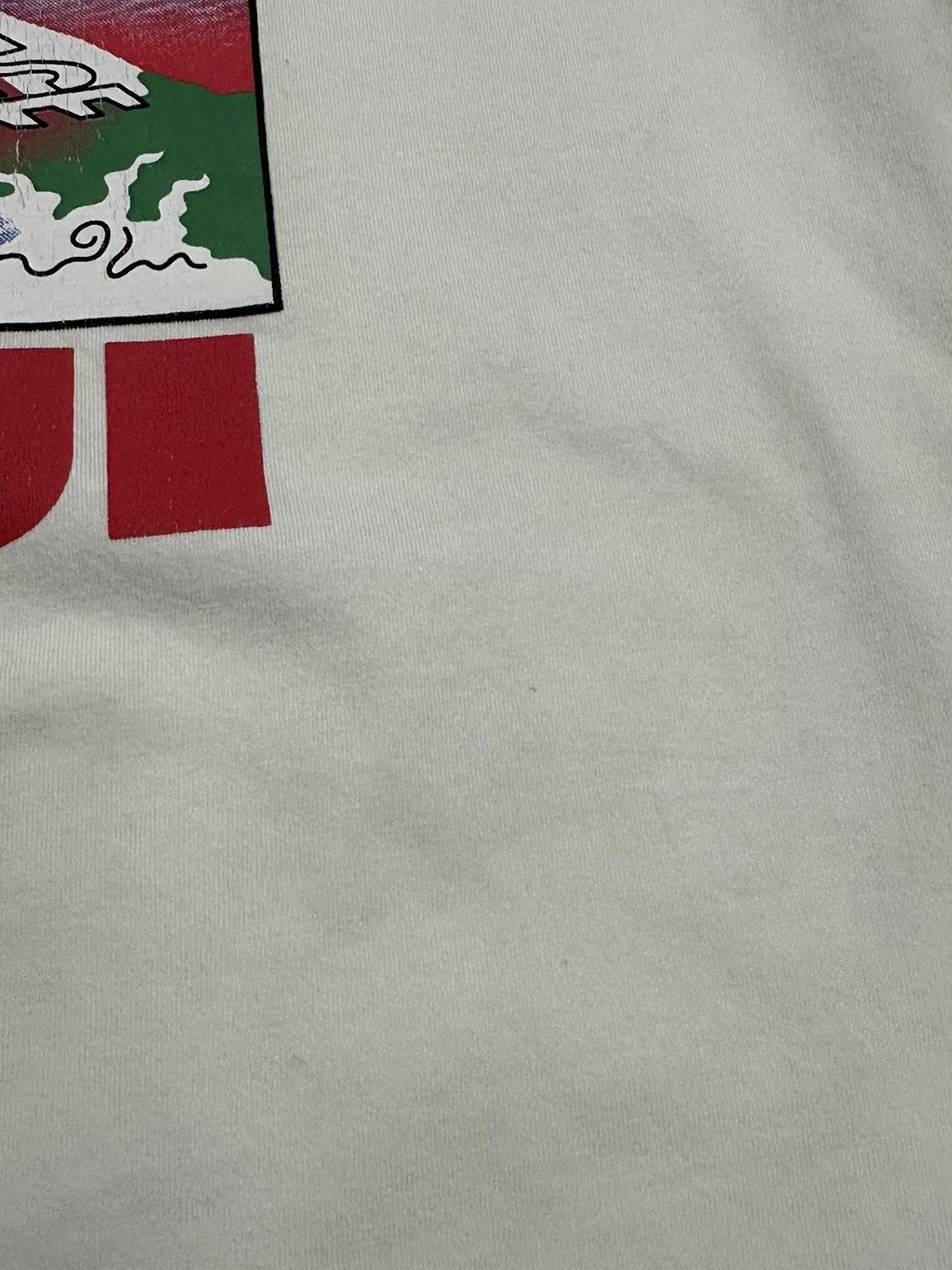 Palace Palace Fuji Mountain Japan Exclusive T-Shirt Size US L / EU 52-54 / 3 - 7 Thumbnail