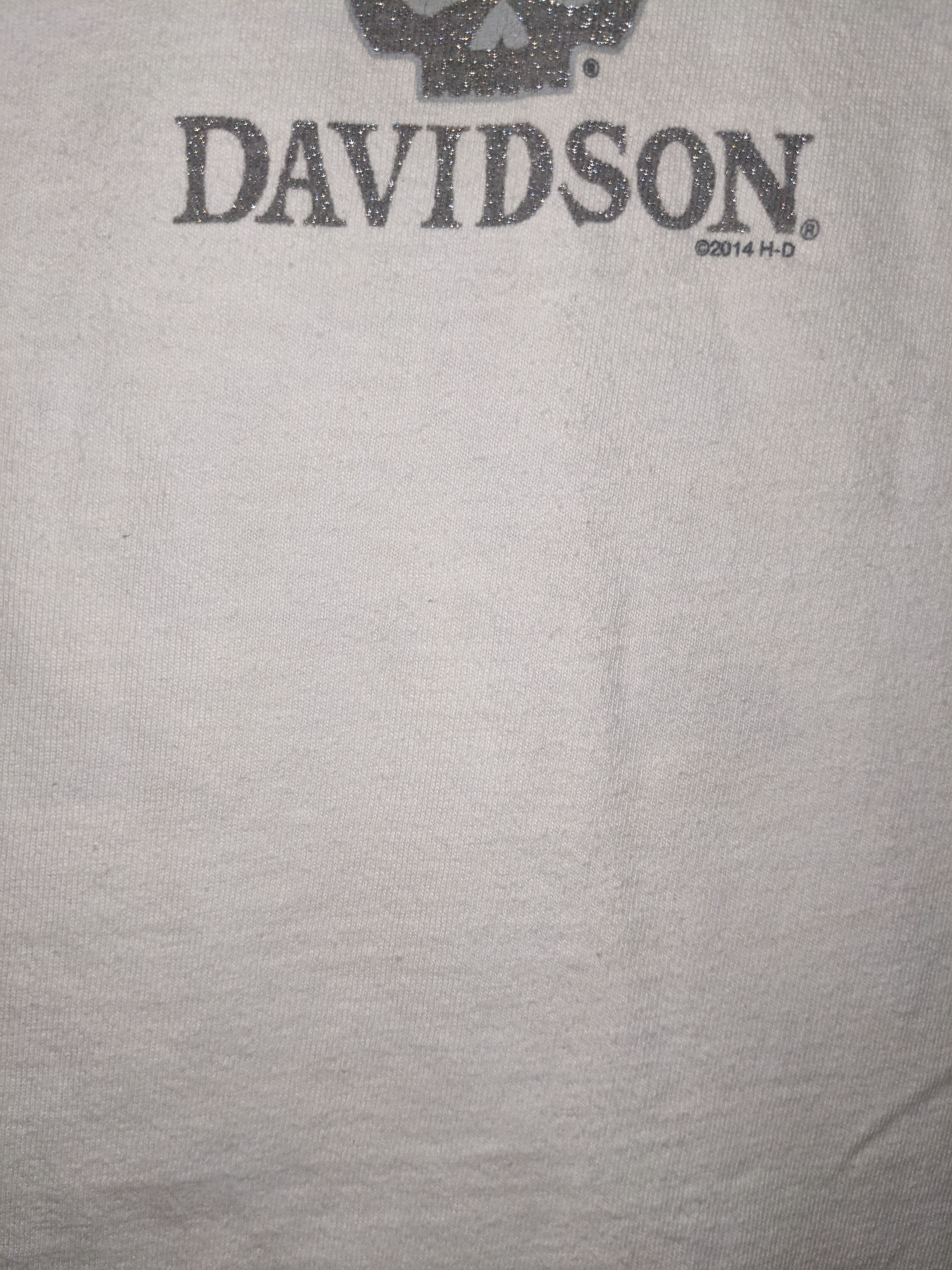 Harley Davidson Vintage 2014 Harley Davidson Motorcycle Logo Skull T-Shirt Size US M / EU 48-50 / 2 - 13 Thumbnail