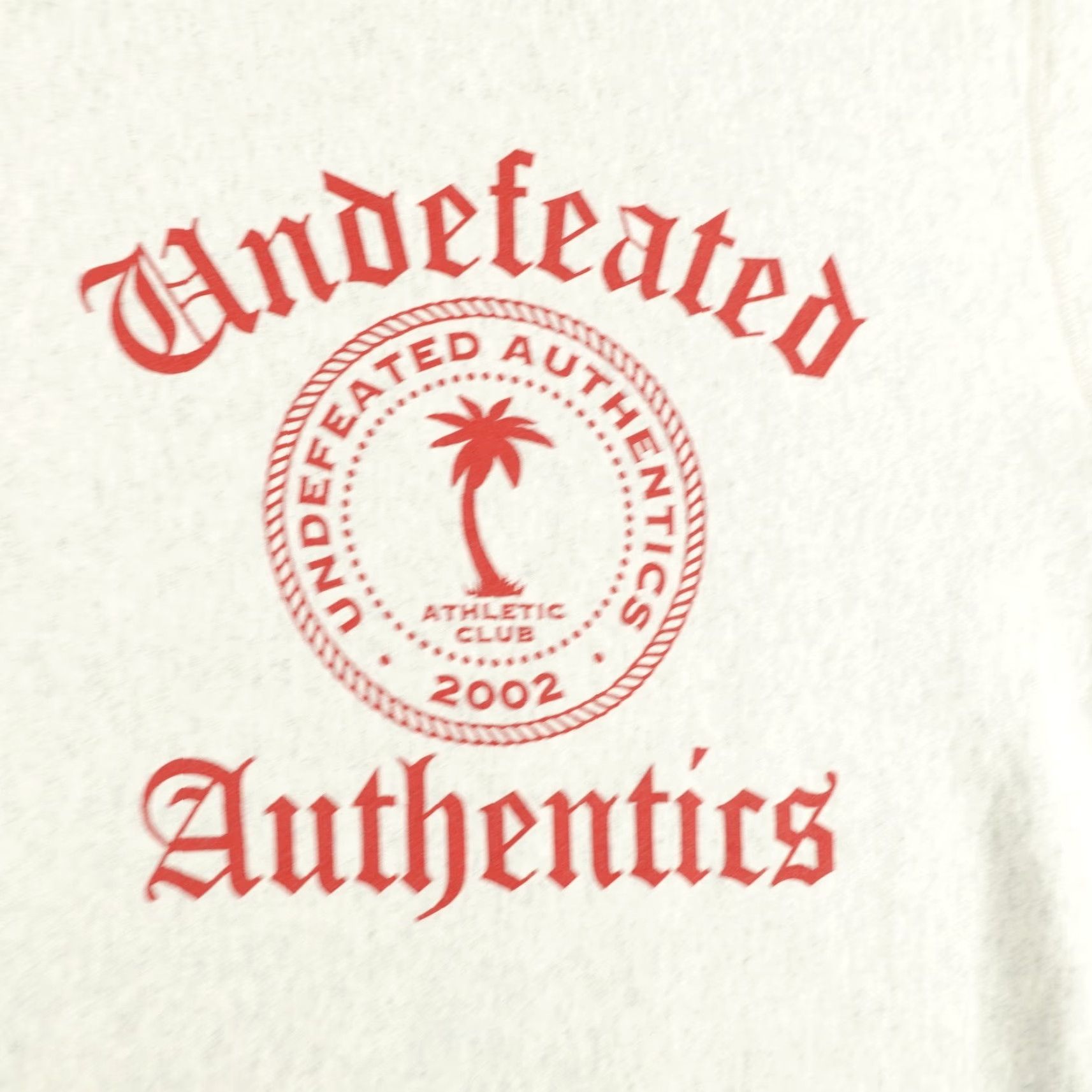 Undefeated VINTAGE Undefeated Sweatshirt Mens Large Graphic Print Crewneck Pullover Fleece Skateboarding Outdoors Size US L / EU 52-54 / 3 - 2 Thumbnail