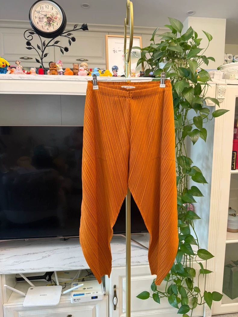 Issey Miyake Issey Miyake PP Series Pleated Pants -dmc Size US 30 / EU 46 - 1 Thumbnail
