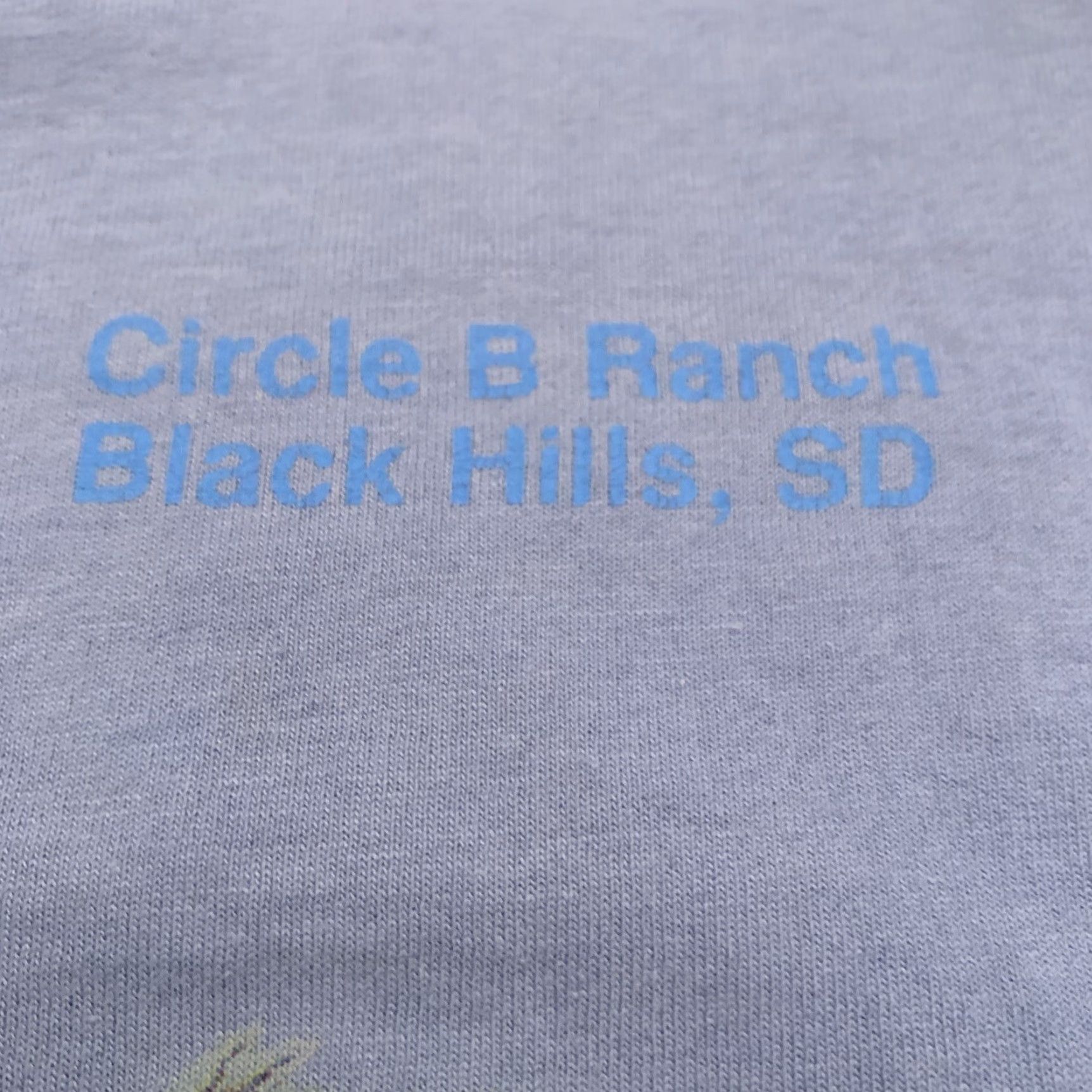Fruit Of The Loom VINTAGE Chuck Dehaan T-Shirt XL Men Graphic 90s Horses Western Blue Cotton Short Sleeve Crew Neck Size XL Size US XL / EU 56 / 4 - 5 Thumbnail