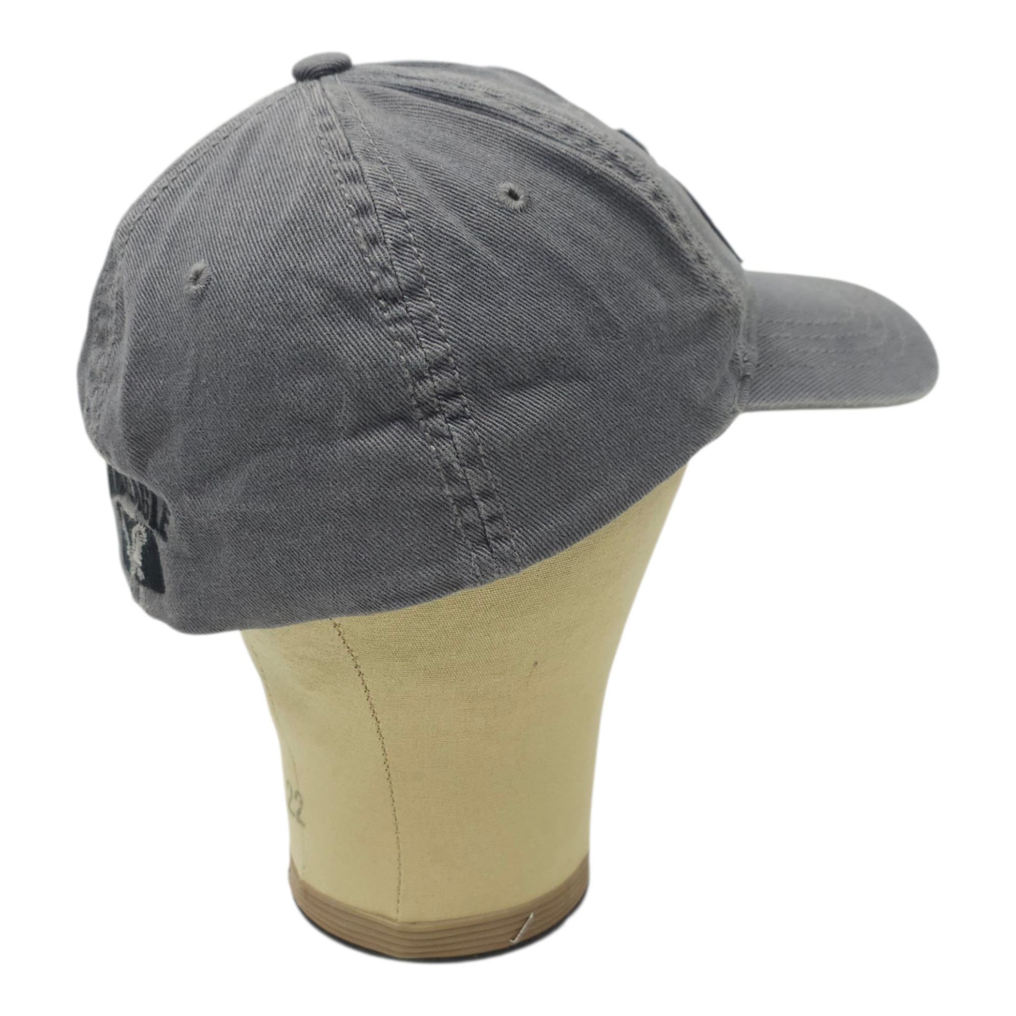 American Eagle Outfitters American Eagle AE Logo Dad Hat Fitted S/M Casual Streetwear Size ONE SIZE - 11 Thumbnail