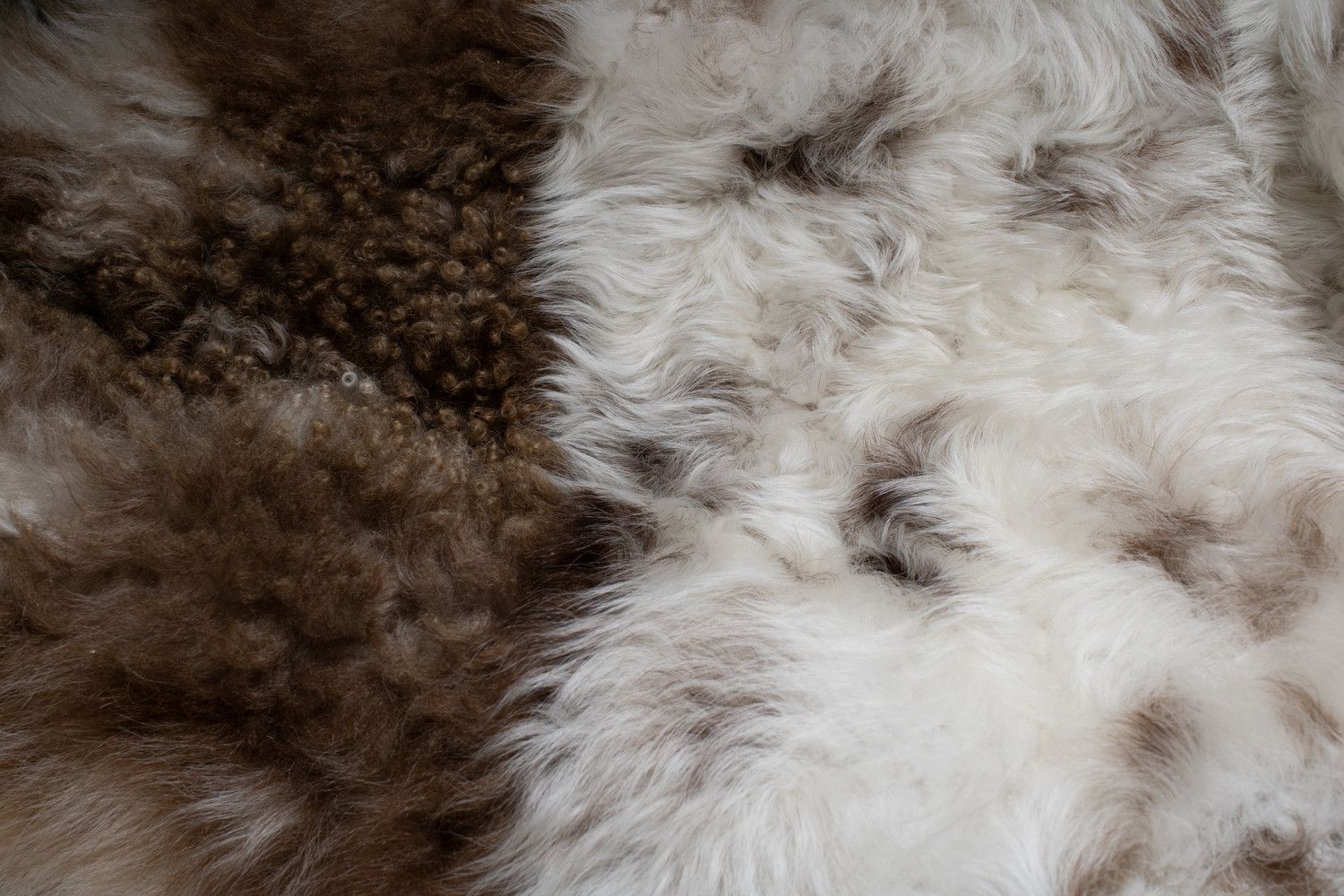 Nili Lotan Nili Lotan, Aurore shearling coat Size S / US 4 / IT 40 - 7 Thumbnail