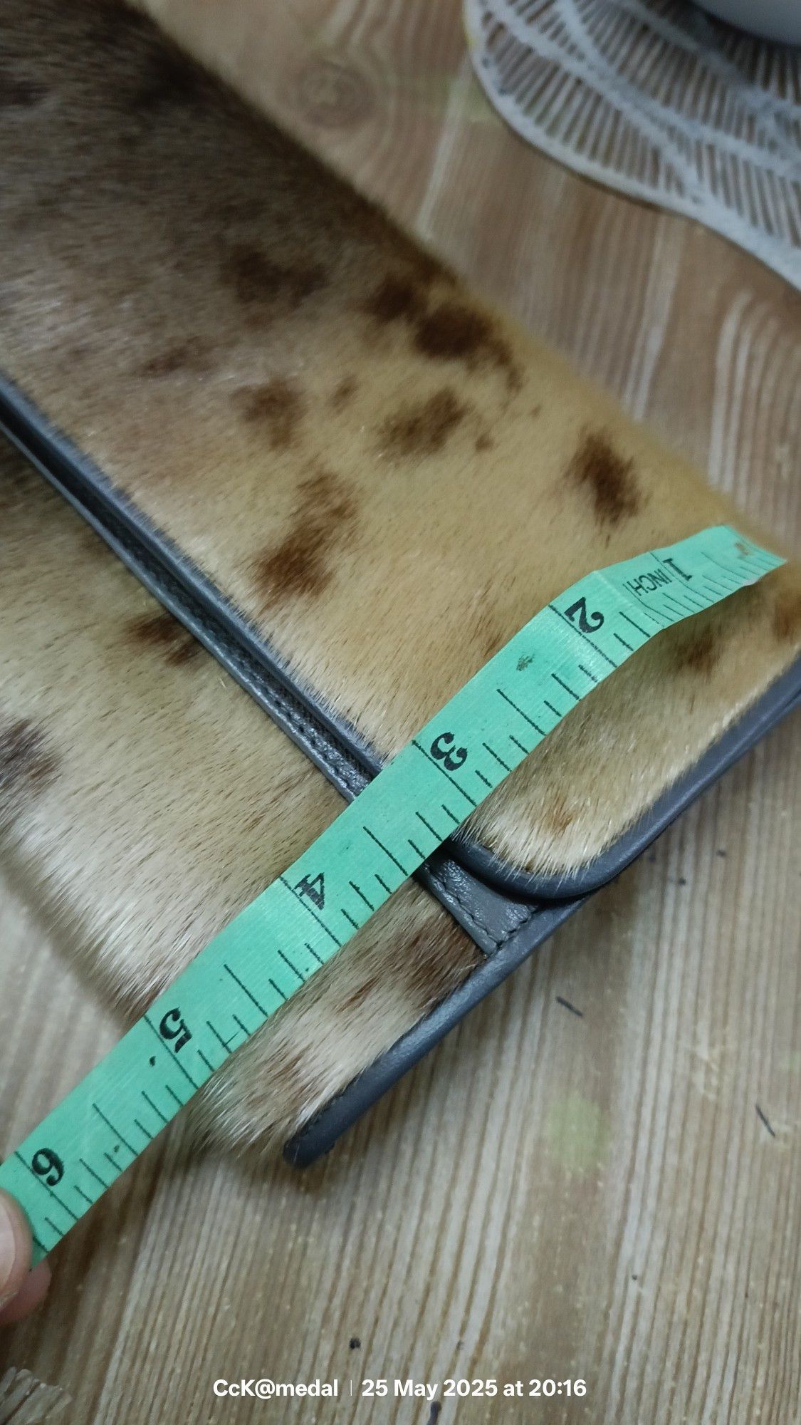 Other Veritable Genuine Sealskin Size ONE SIZE - 4 Thumbnail