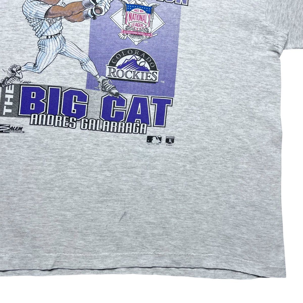 Salem Sportswear Vtg 1993 MLB Colorado Rockies Galarraga Salem Sportswear Tee Size US XXL / EU 58 / 5 - 11 Thumbnail