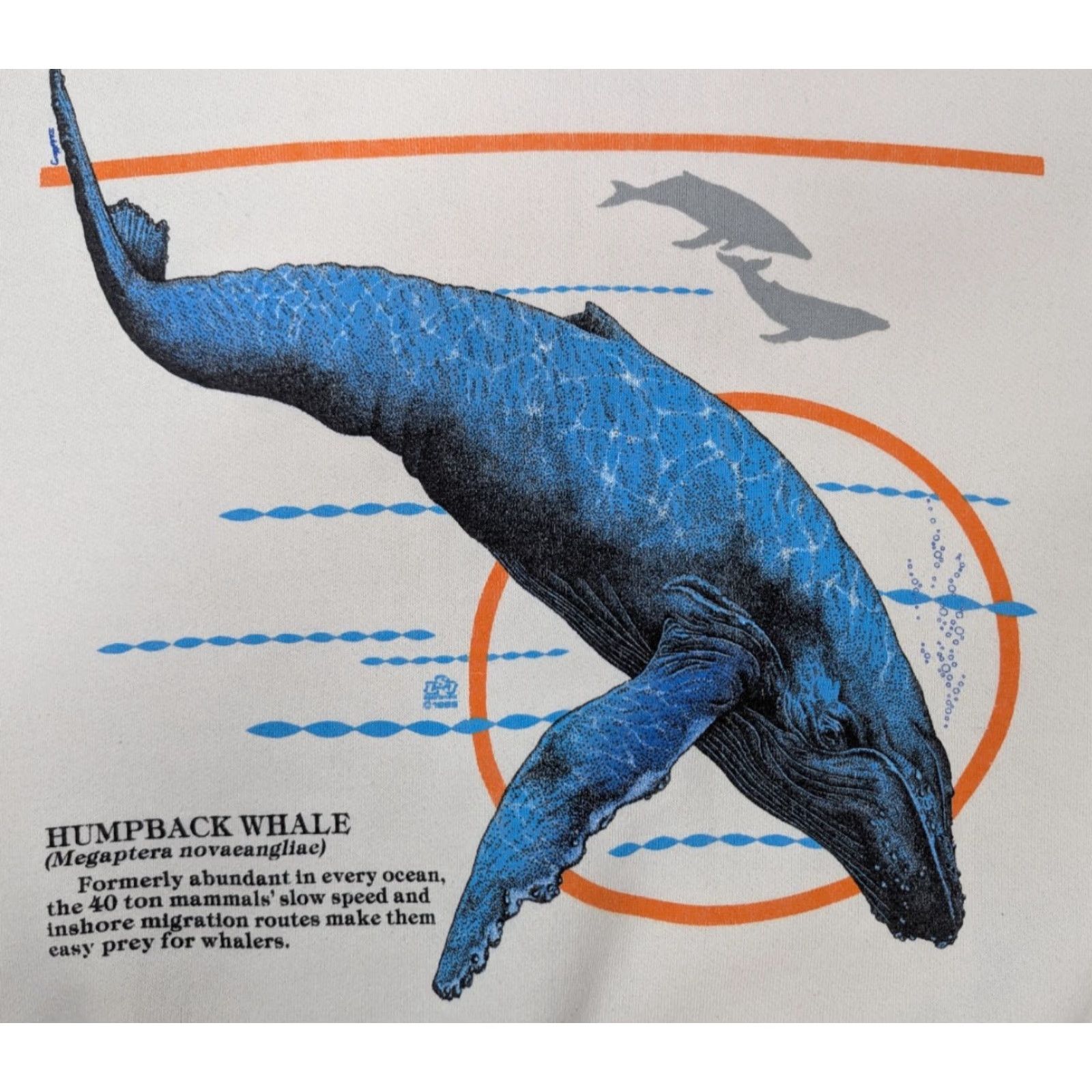Lee VINTAGE Lee Sweatshirt Humpback Whale Mammal Graphic Crewneck Size Large USA Men Woolly? Size US L / EU 52-54 / 3 - 3 Thumbnail
