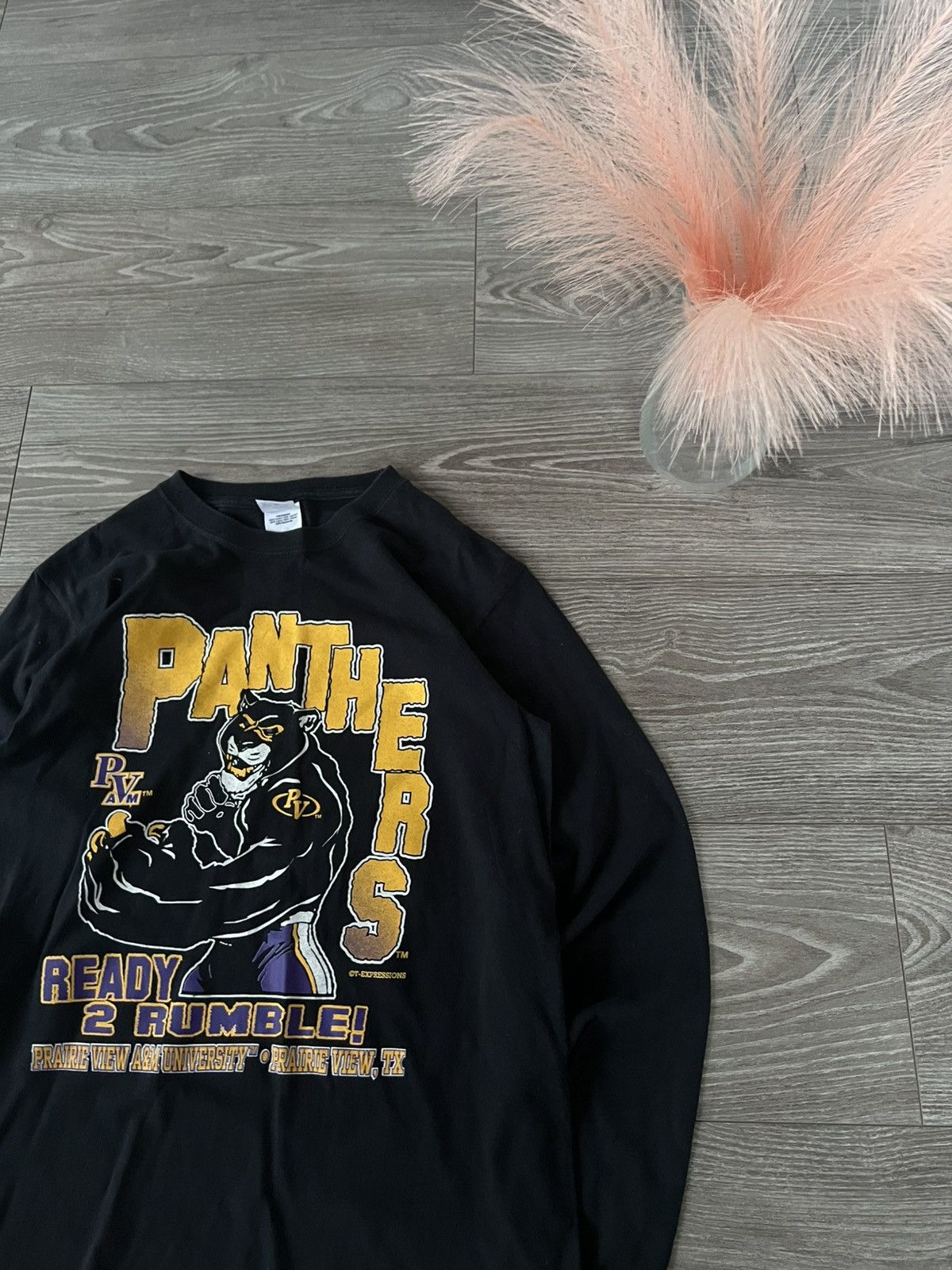 Band Tees × Vintage ‼️Panthers by Anvil Big Logo Print Long Sleeve Size US L / EU 52-54 / 3 - 3 Thumbnail