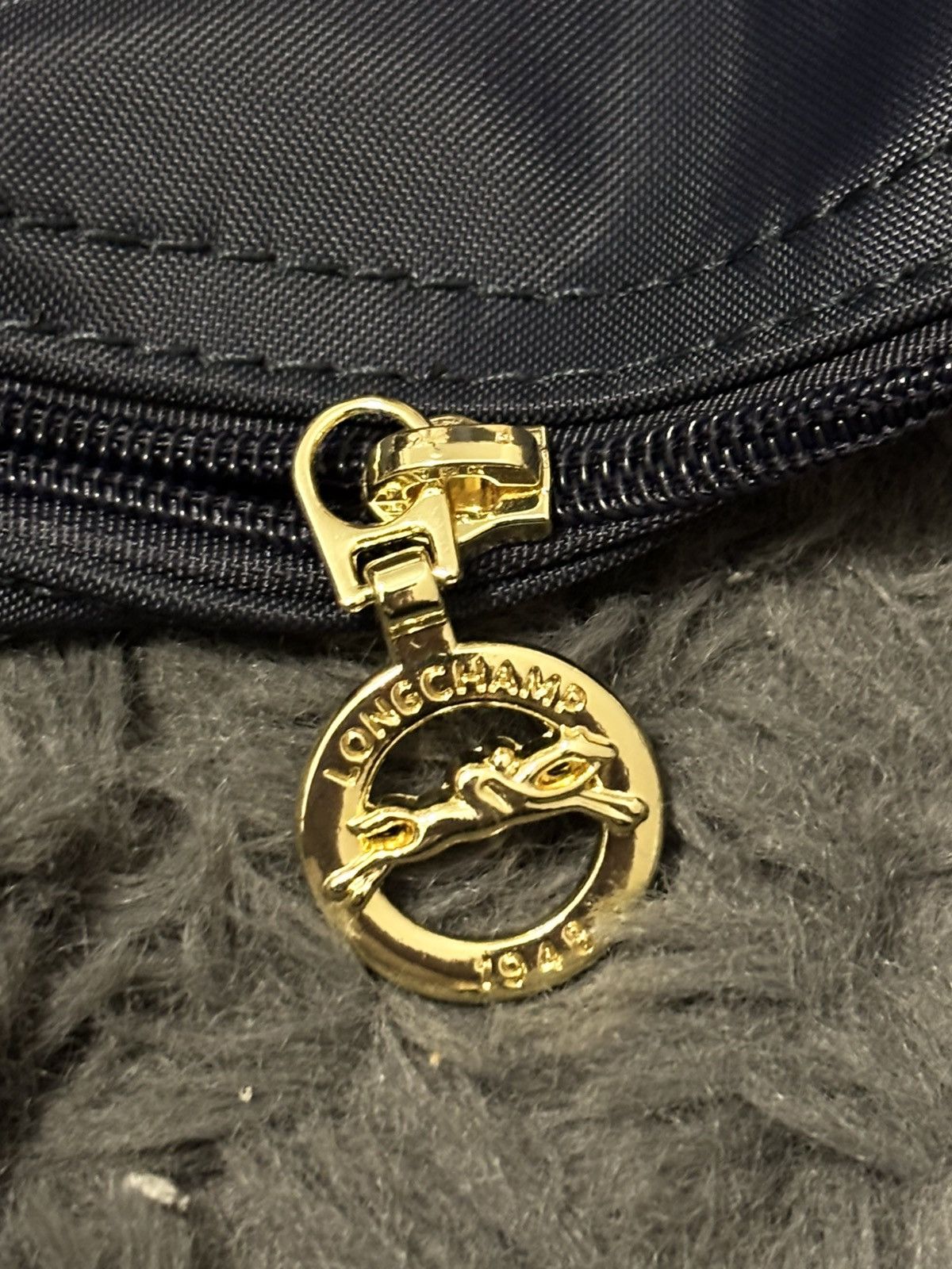Longchamp Longchamp Le Pliage L Size ONE SIZE - 6 Thumbnail