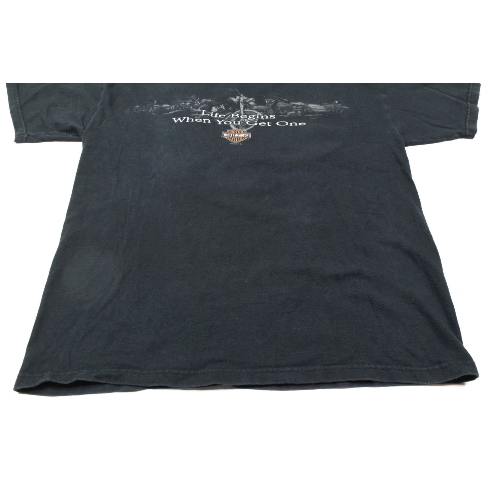 Harley Davidson VINTAGE Harley-Davidson Grand Canyon T-Shirt Mens Large Black Sedona Moto Y2K Size US L / EU 52-54 / 3 - 5 Thumbnail