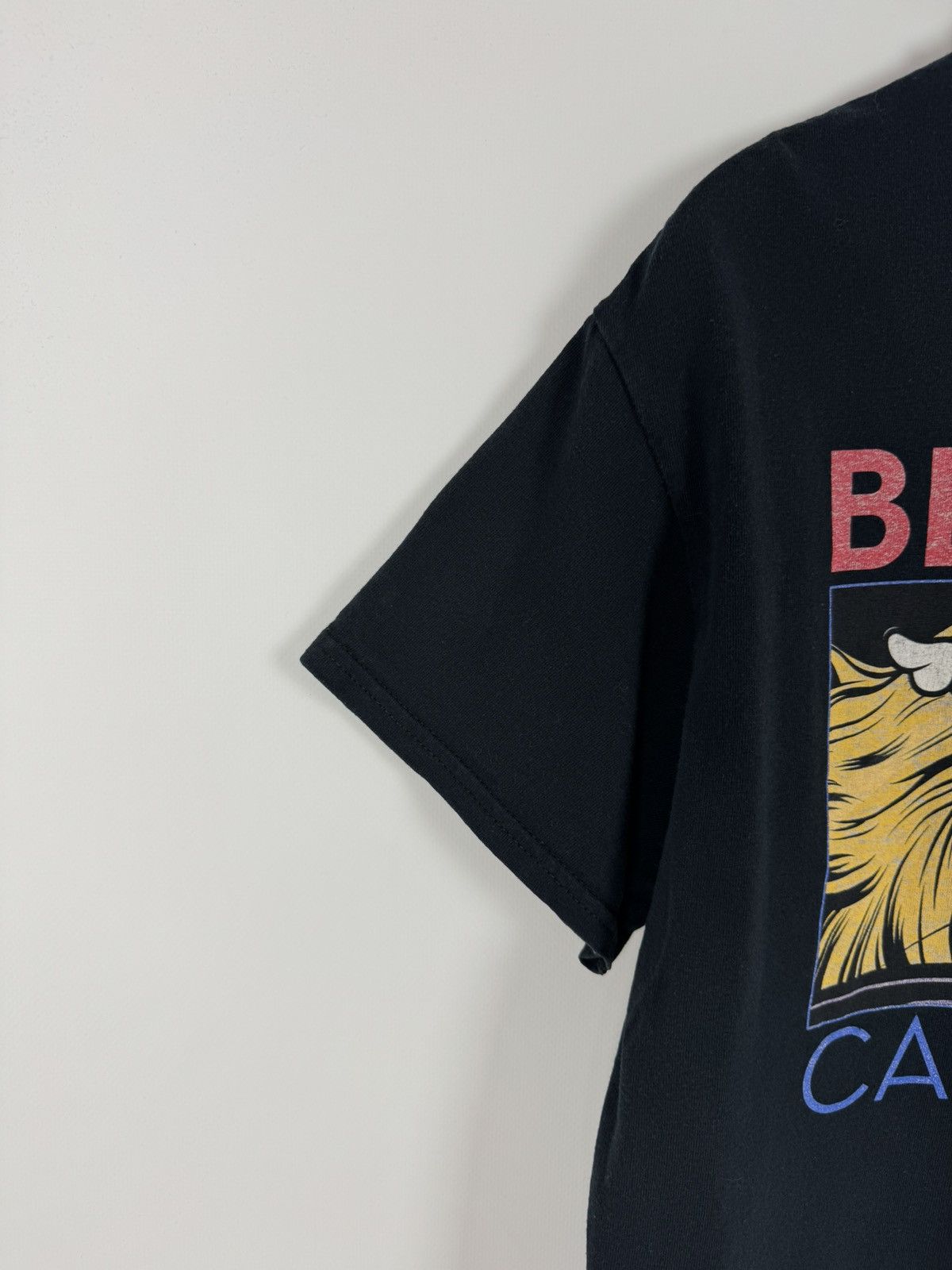 Band Tees Blink - 182 California Punk Band T-Shirt Size US M / EU 48-50 / 2 - 6 Thumbnail