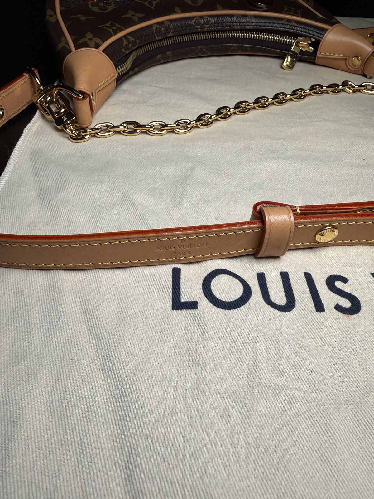 Louis Vuitton LOUIS VUITTON LOOP MONOGRAM BAG Size ONE SIZE - 12 Thumbnail