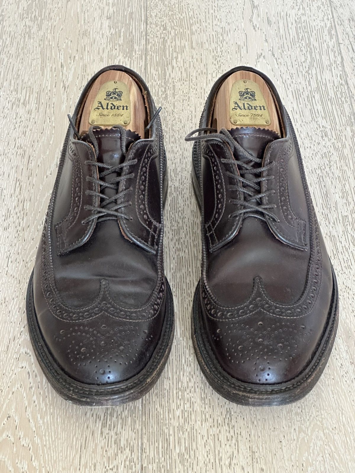 Alden Color 8 Shell Cordovan Long Wing