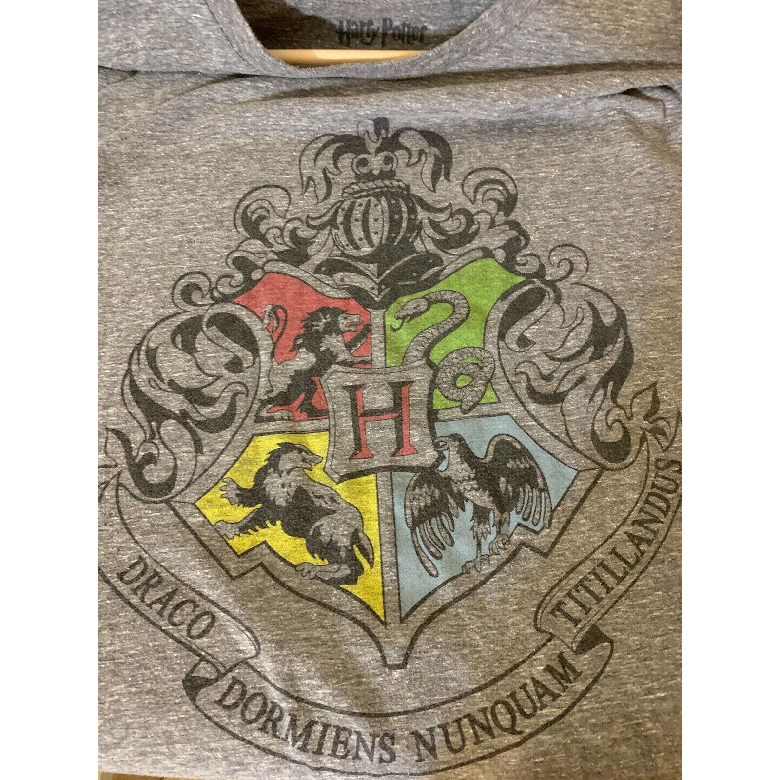 Other Harry Potter Men’s Sz 2XL Gray T-shirt Draco Dormiens Nunqua Size US XXL / EU 58 / 5 - 1 Thumbnail