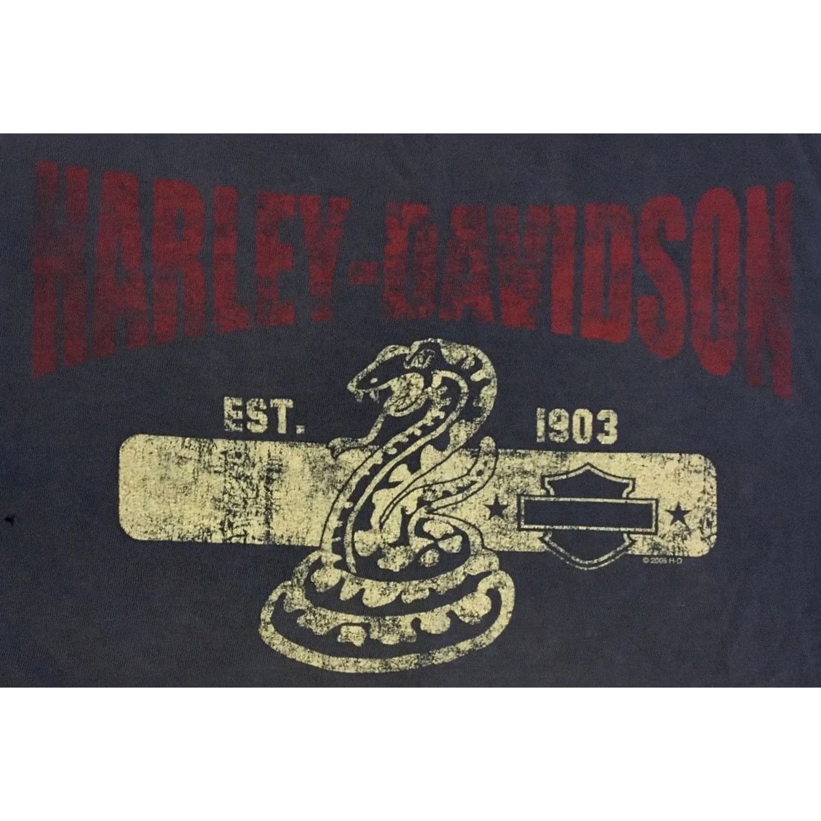 Harley Davidson Harley-Davidson Shirt Mens L Blue Vintage Germany Thrashed Faded Distressed Flames Graphic Tee 90s Y2K Grunge Punk Rock Biker USA California Size US L / EU 52-54 / 3 - 3 Thumbnail