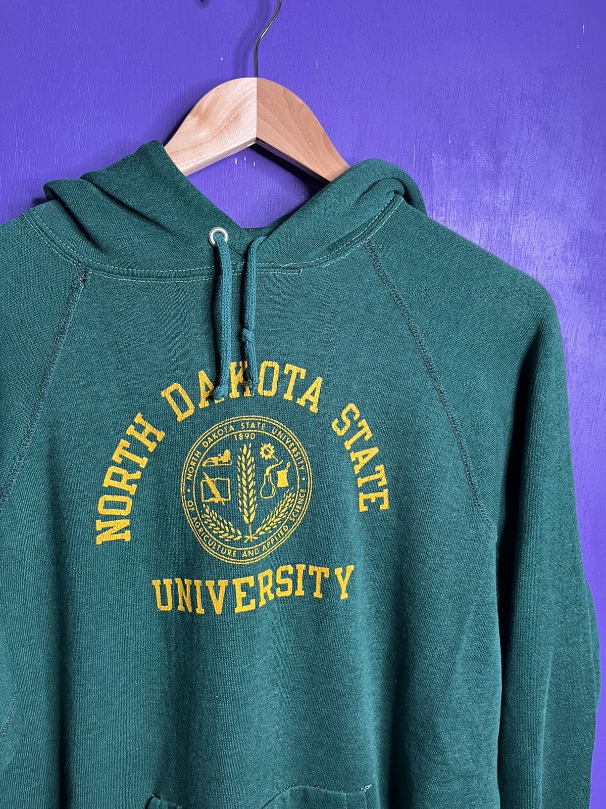 Champion × Vintage Vintage 70s Champion North Dakota state hoodie Size US M / EU 48-50 / 2 - 3 Thumbnail