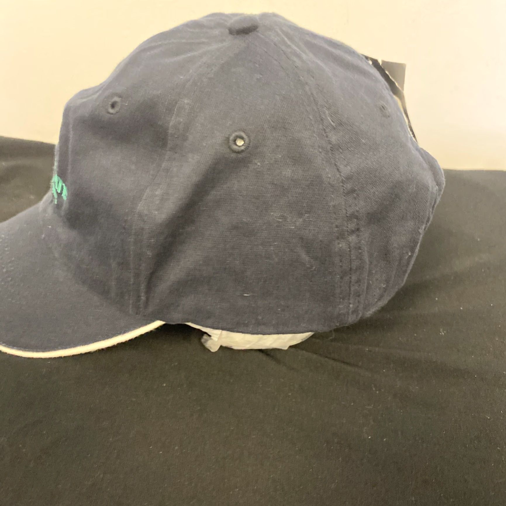 Nike Nike Snapback Hat Blue One Size Adjustable Embroidered Casual Travel Outdoor Mens Size ONE SIZE - 4 Thumbnail