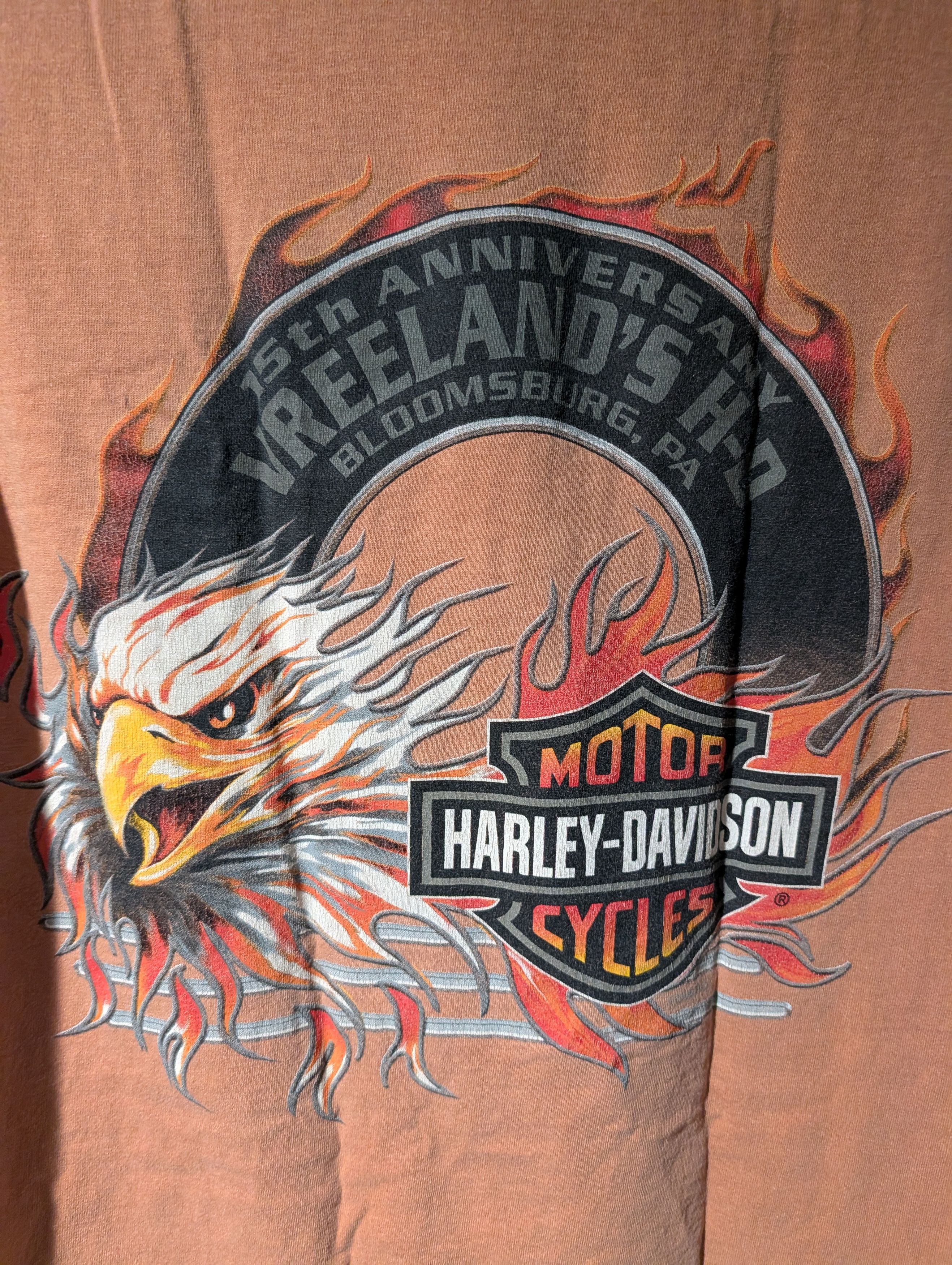 Harley Davidson Vintage 2006 Harley Davidson Motorcycle Eagle Flames T-Shirt Size US M / EU 48-50 / 2 - 6 Thumbnail