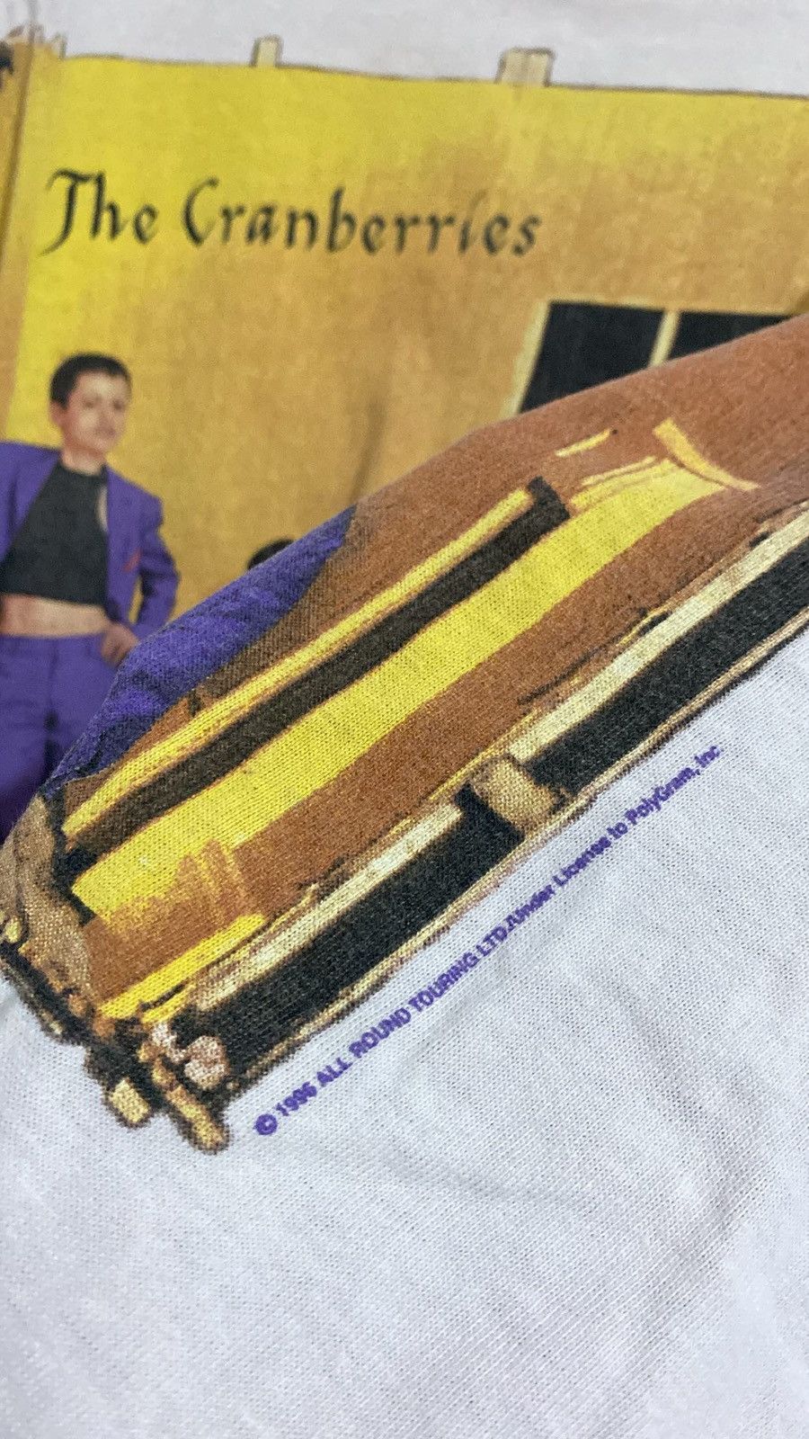 Band Tees 💸BINDINGOFFER💸Vtg The Crainberries Free To Decide Tour 1996 Size US XL / EU 56 / 4 - 6 Thumbnail