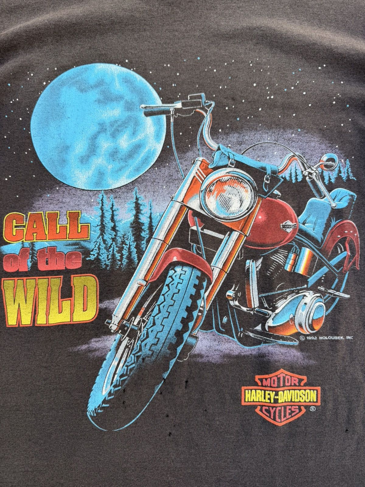 Harley Davidson Harley Davidson Early 90s “ Call of the wild “ Size US L / EU 52-54 / 3 - 2 Thumbnail