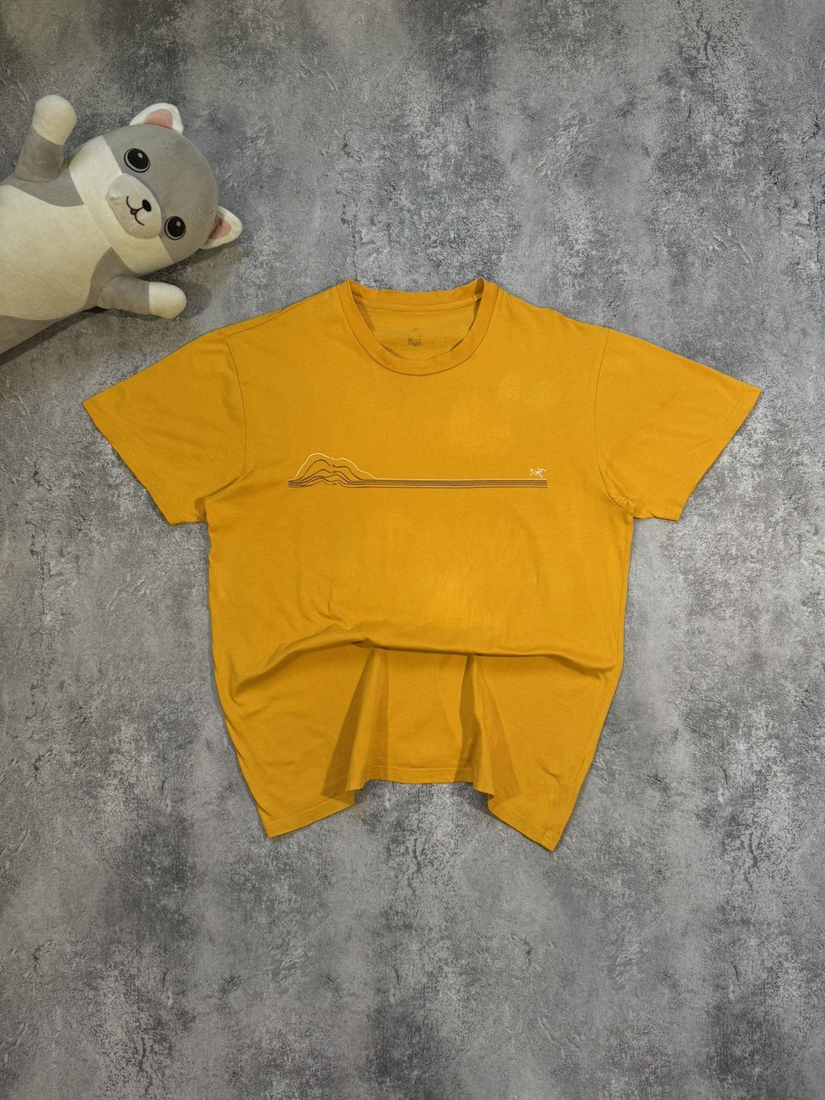 Arc'teryx Vintage Arcteryx T-Shirt Size US L / EU 52-54 / 3 - 1 Thumbnail