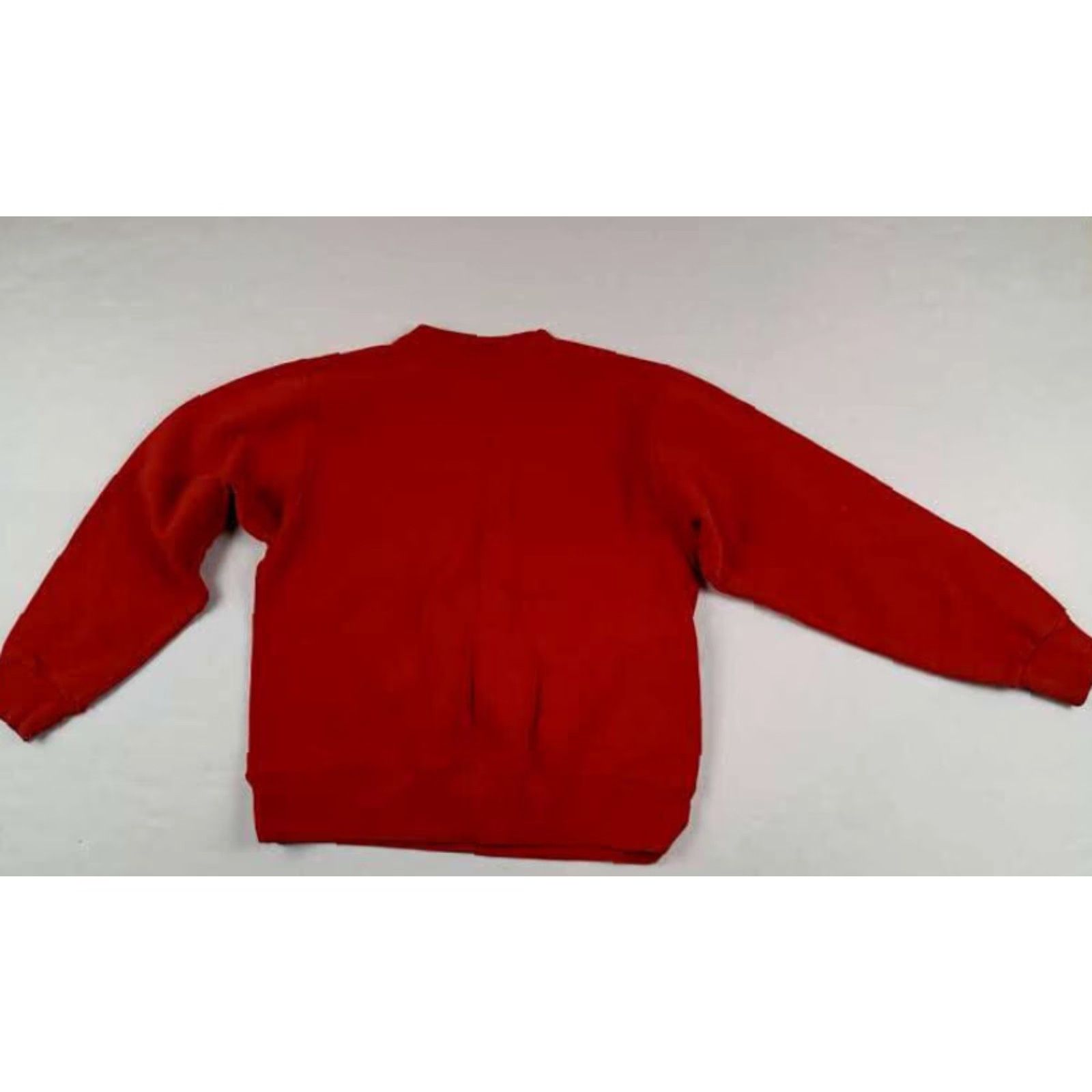 Champion VINTAGE Champion Sweatshirt Hockey USA Made Detroit Red Wings LG Sweatshirt Men Red 1992 Pullover Size US L / EU 52-54 / 3 - 7 Thumbnail