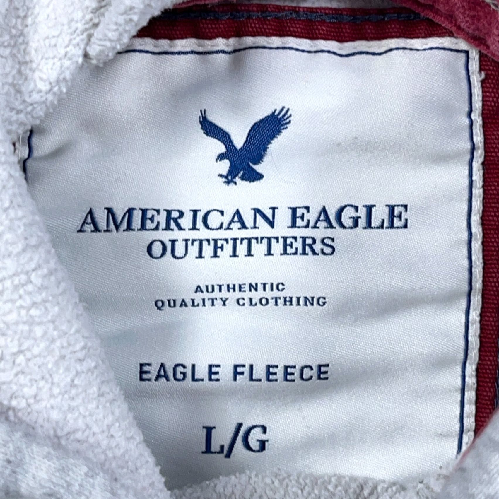 American Eagle Outfitters Vintage American Eagle Outfitters Hoodie Men L Gray Sweatshirt 2000s Heather Bird Logo Embroidered Hooded Graphic Print Size US L / EU 52-54 / 3 - 3 Thumbnail