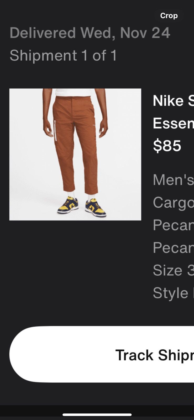 Nike Nike cargo pants Size US 34 / EU 50 - 6 Thumbnail