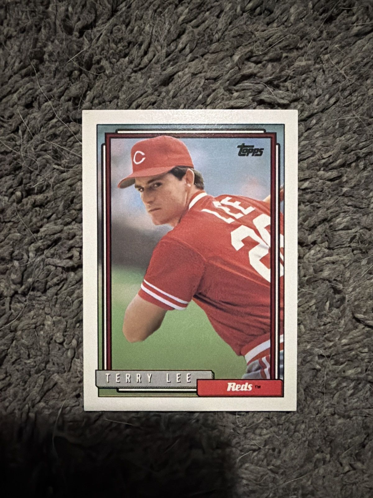MLB 1992 Topps #262 Terry Lee Card Size ONE SIZE - 1 Thumbnail