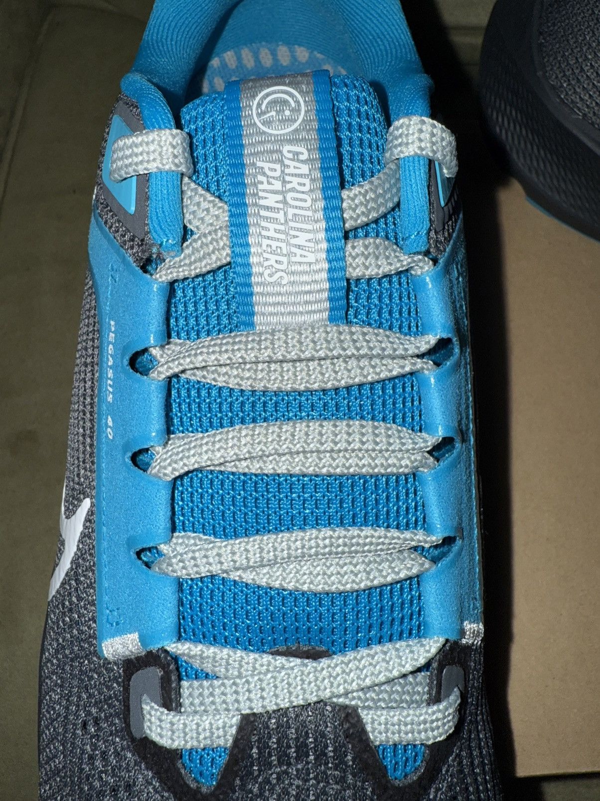Nike Nike Air Zoom Pegasus 40 NFL “Carolina Panthers” New in Box! Size US 9.5 / EU 42-43 - 9 Thumbnail