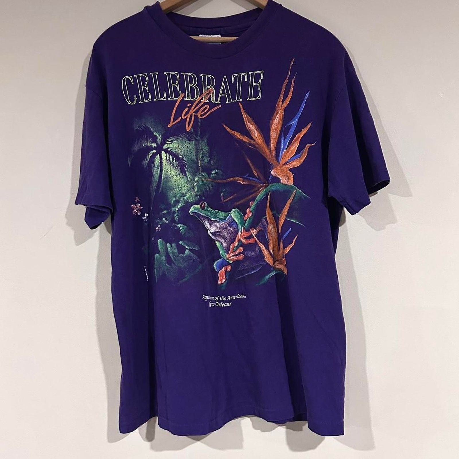 Hanes Vintage 1992 Celebrate Life Frog Tee Shirt Size US L / EU 52-54 / 3 - 1 Thumbnail